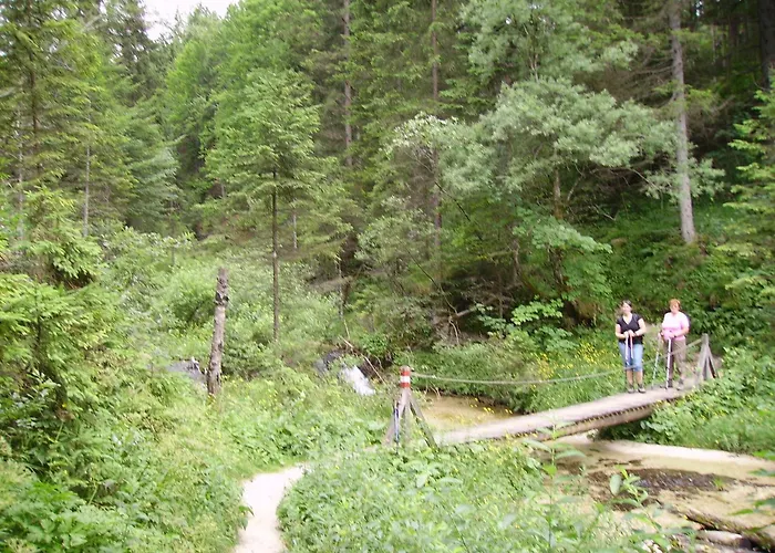 Appartement Wolfs Revier *